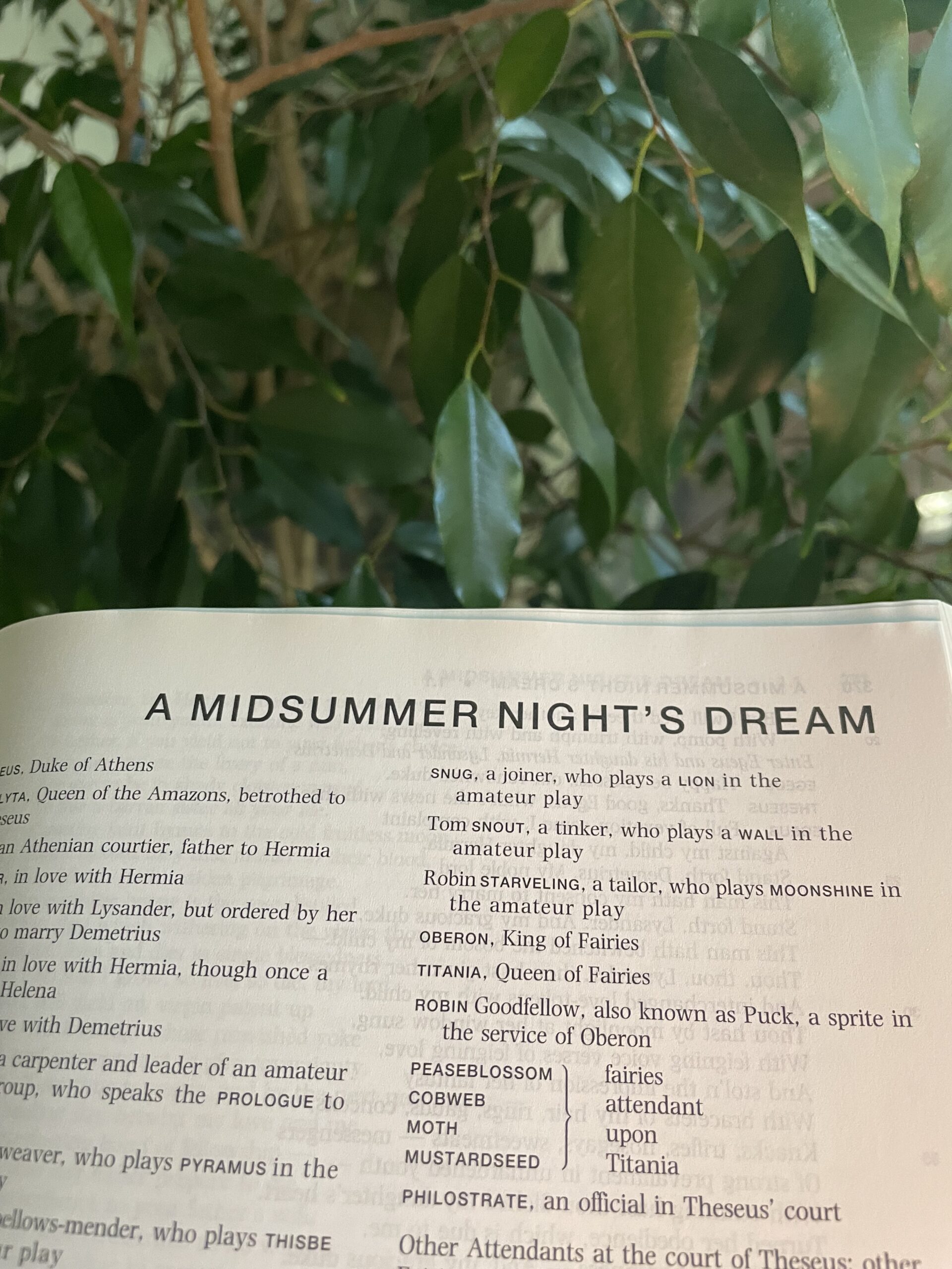 Finally it’s Midsummer Night’s Dream!