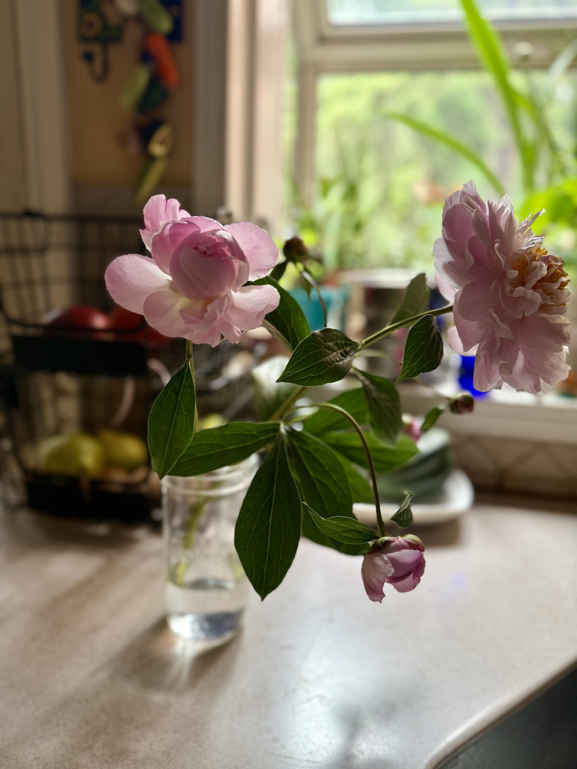 Thankful For My Garden